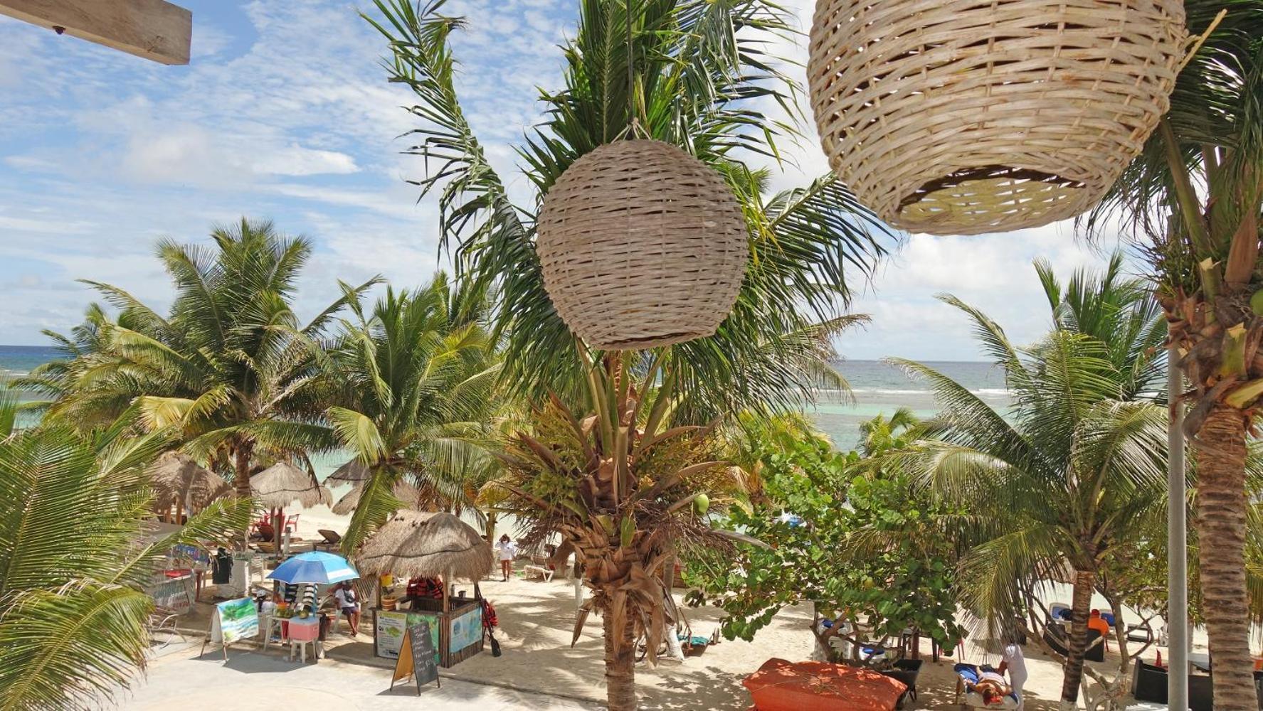 El Fuerte Beach Apartments Махауаль Номер фото